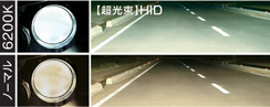 LUMEN+照射比較