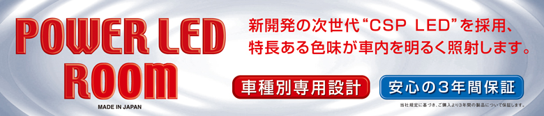 POWER LED ROOM CSP LED RG