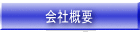 ЊTv